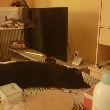 Séjour chez l'habitant Jolie Dans Copropriété Paisible